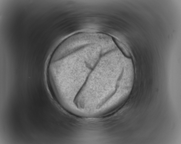 X0000088441488200706191243