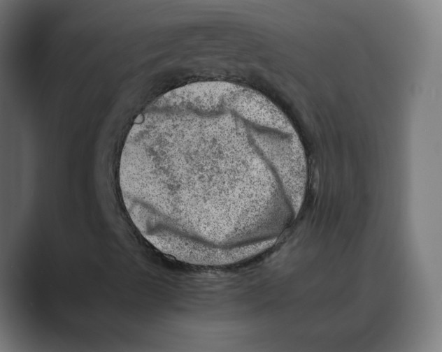 X0000088441489200706191243