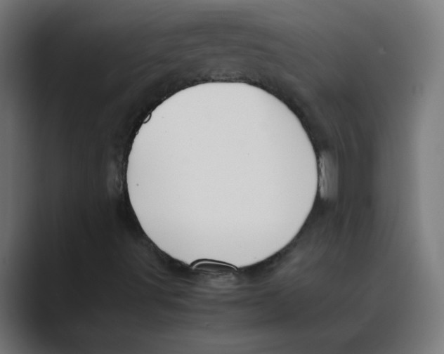 X0000088441491200706191243