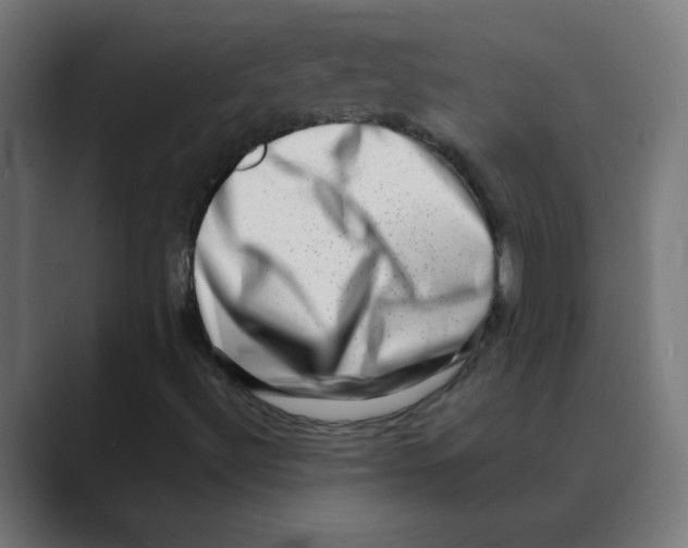 X0000088441492200706191243