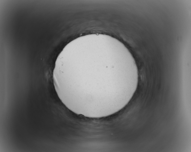 X0000088441495200706191243