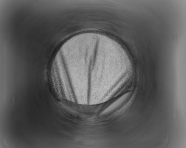 X0000088441497200706191243