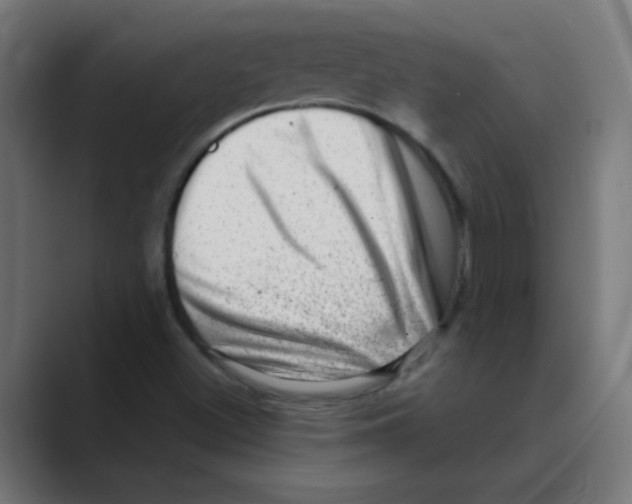 X0000088441500200706191243