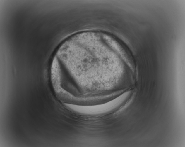 X0000088441501200706191243