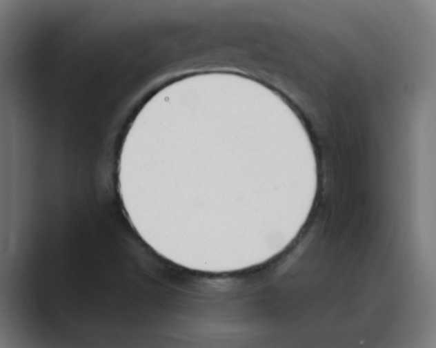 X0000088441502200706191243