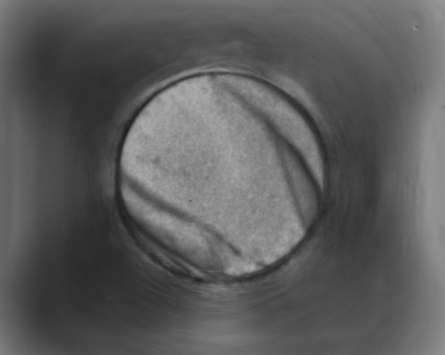 X0000088441504200706191243