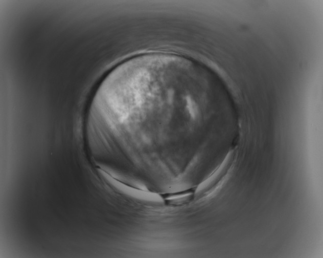 X0000088441506200706191243
