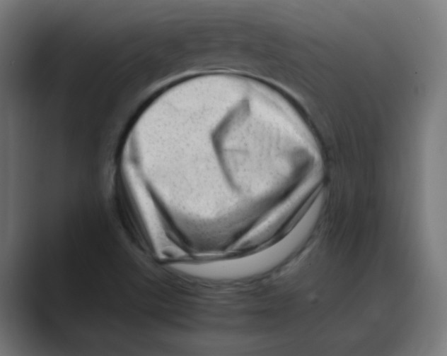 X0000088441507200706191243