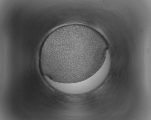 X0000088441508200706191243