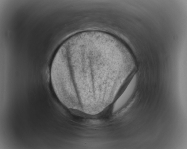 X0000088441509200706191243