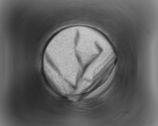 X0000088441511200706191243