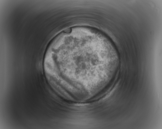X0000088441513200706191243
