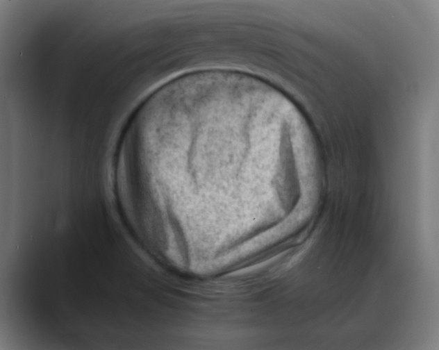 X0000088441517200706191243