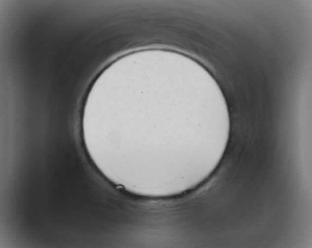 X0000088441518200706191243