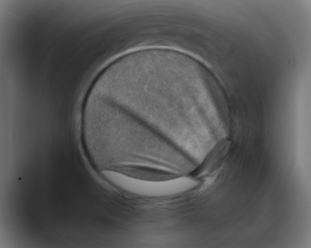 X0000088441519200706191243