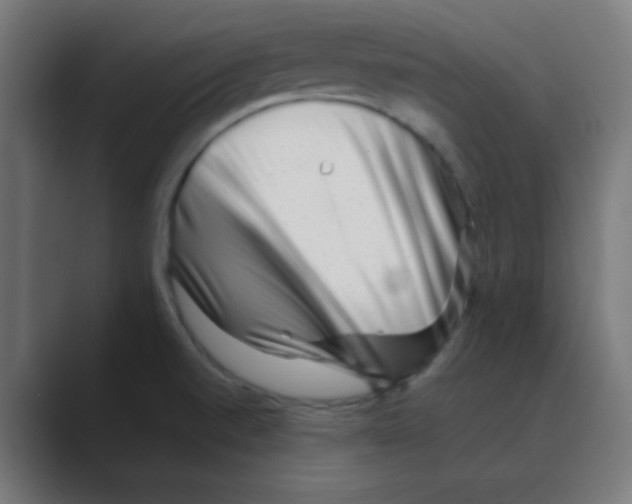 X0000088441520200706191243