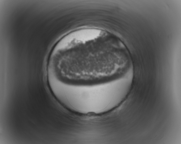 X0000088441522200706191243