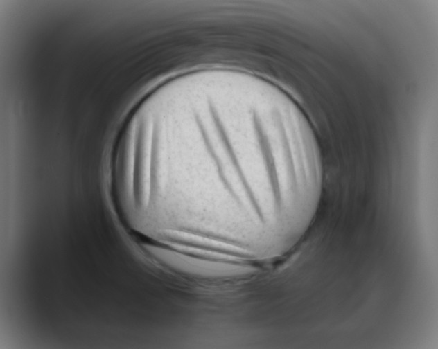 X0000088441523200706191243