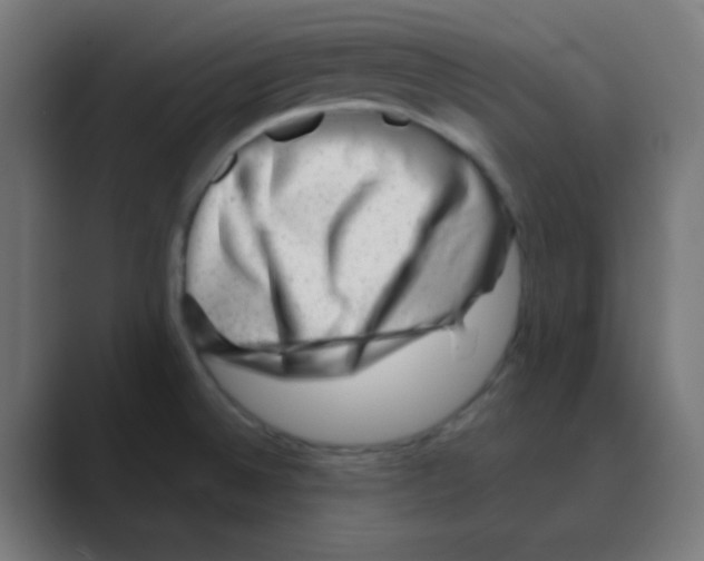 X0000088441524200706191243