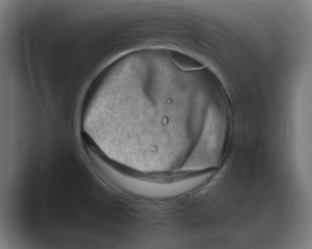 X0000088441525200706191243