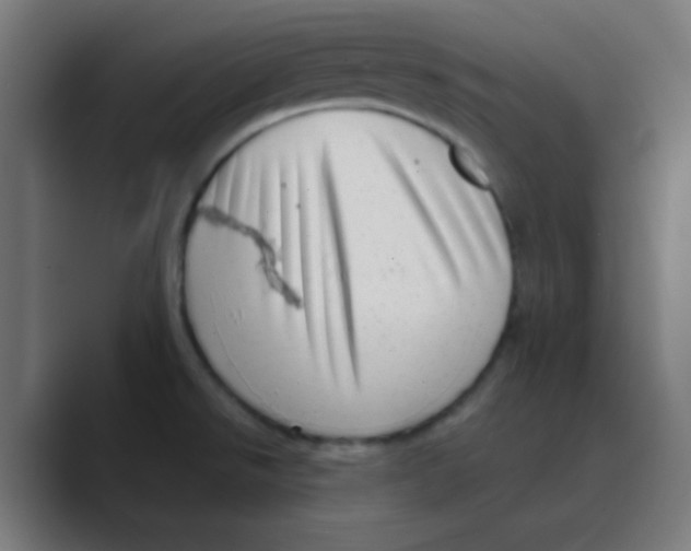 X0000088441526200706191243