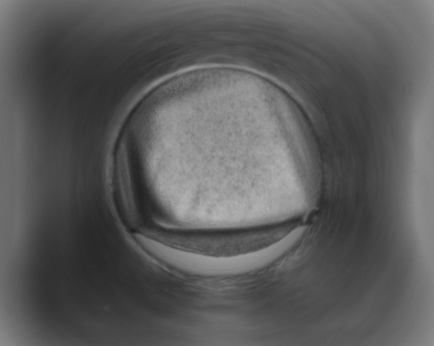 X0000088441527200706191243