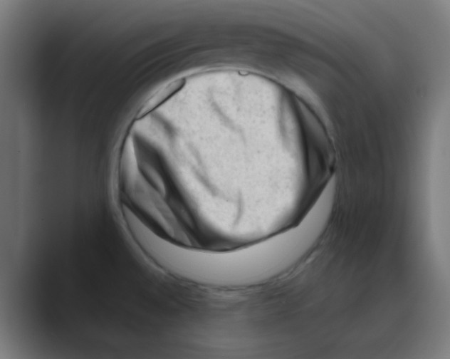 X0000088441528200706191243