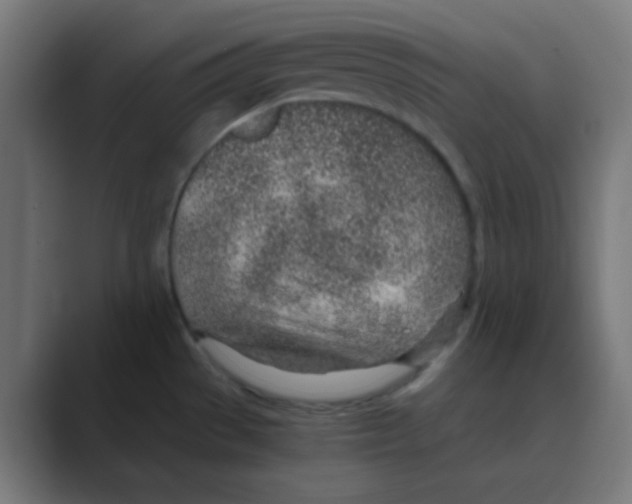 X0000088441529200706191243