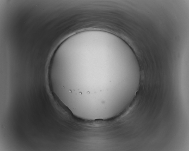 X0000088441530200706191243