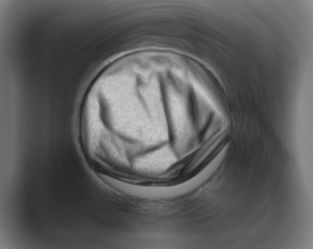 X0000088441531200706191243