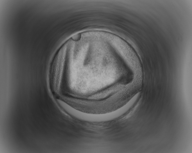 X0000088441533200706191243
