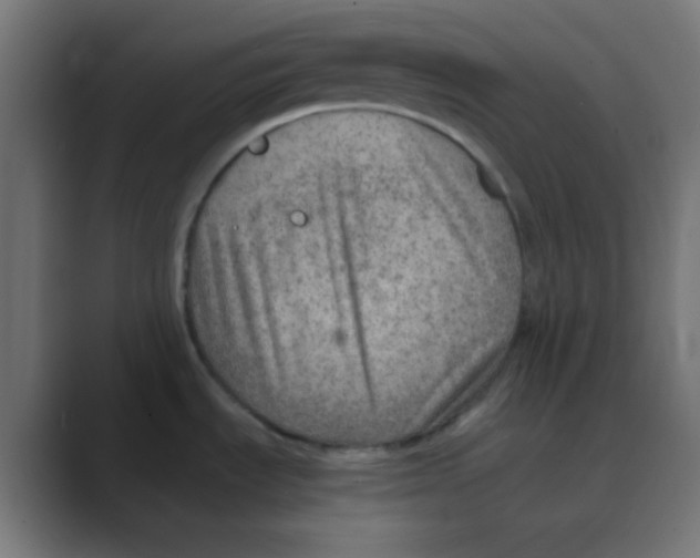 X0000088441535200706191243