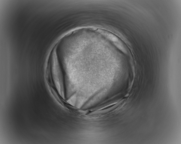 X0000088441536200706191243