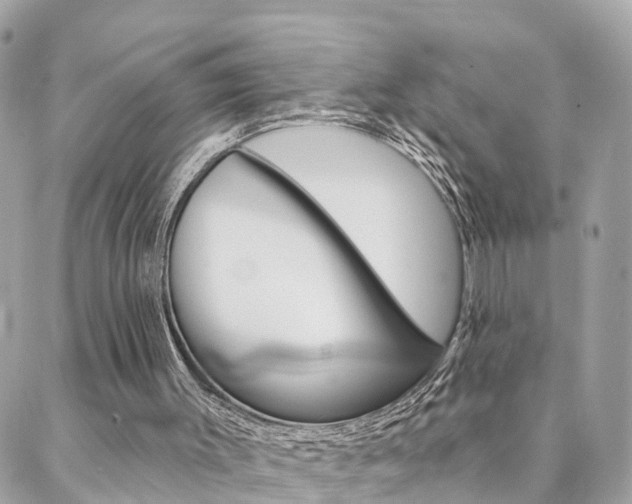 X0000088450003200705220922