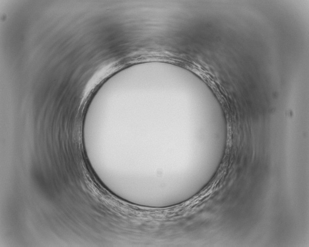 X0000088450004200705220922