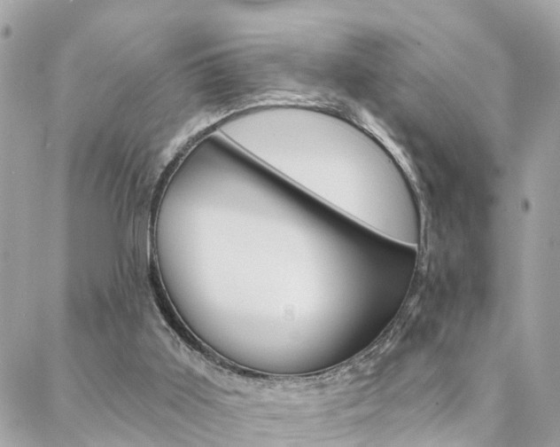 X0000088450011200705220922