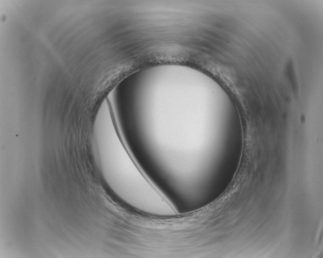 X0000088450017200705220922