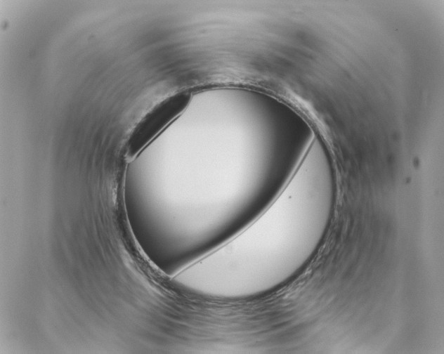 X0000088450060200705220921