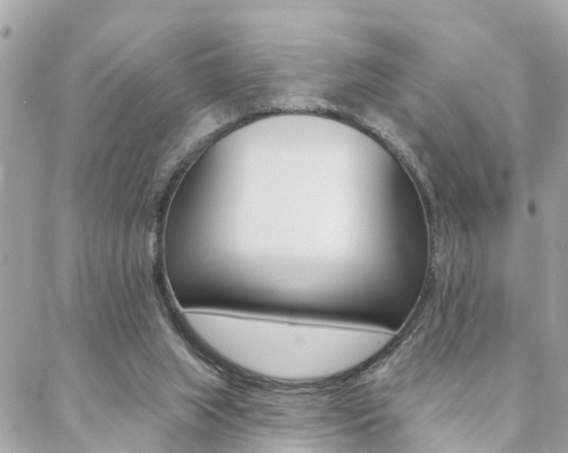 X0000088450063200705220921