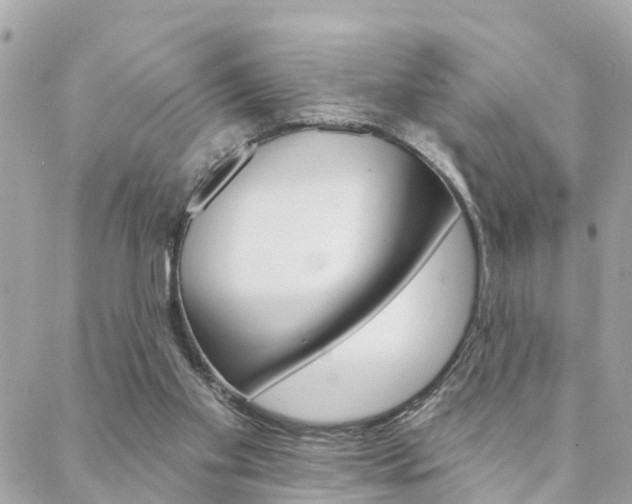 X0000088450109200705220920
