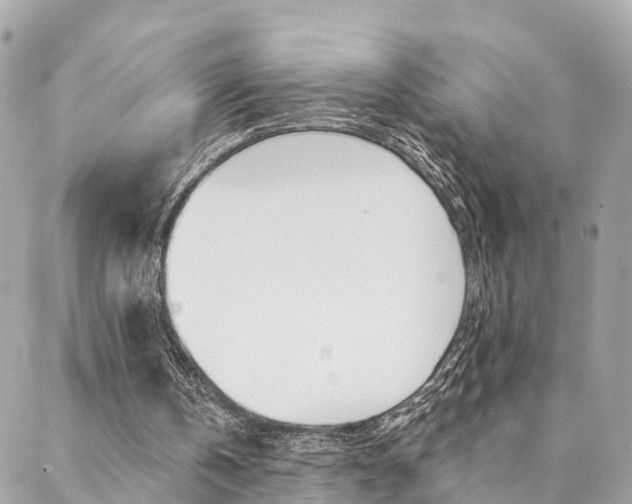 X0000088450146200705220919