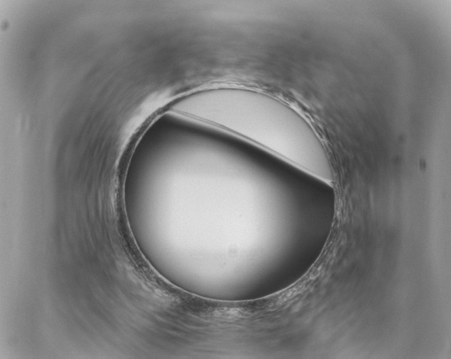X0000088450152200705220919