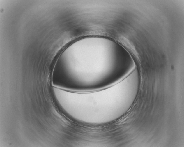 X0000088450156200705220919