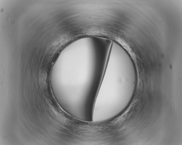 X0000088450201200705220919