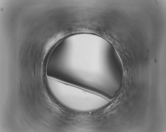 X0000088450248200705220917