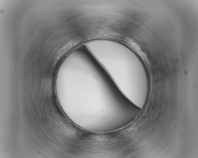 X0000088450250200705220918