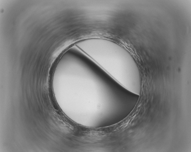 X0000088450292200705220917
