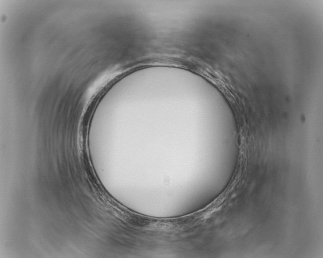X0000088450294200705220917