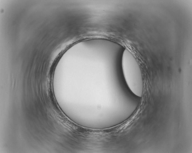 X0000088450342200705220916