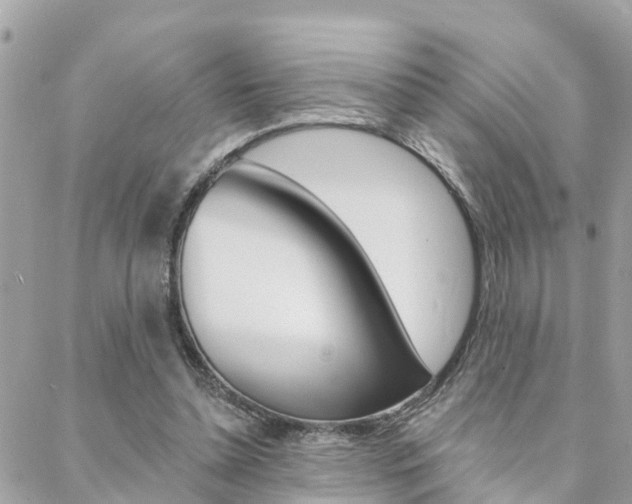 X0000088450348200705220916